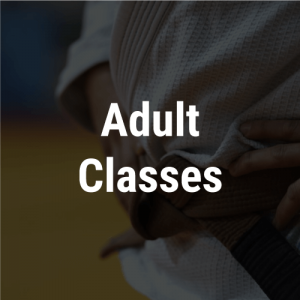 PAUL TOMS ACADEMY OF BRAZILIAN JIU JITSU logo